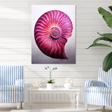 Magenta Marine Sea Sheel Spiral - Nautilus Bedroom Wall Art