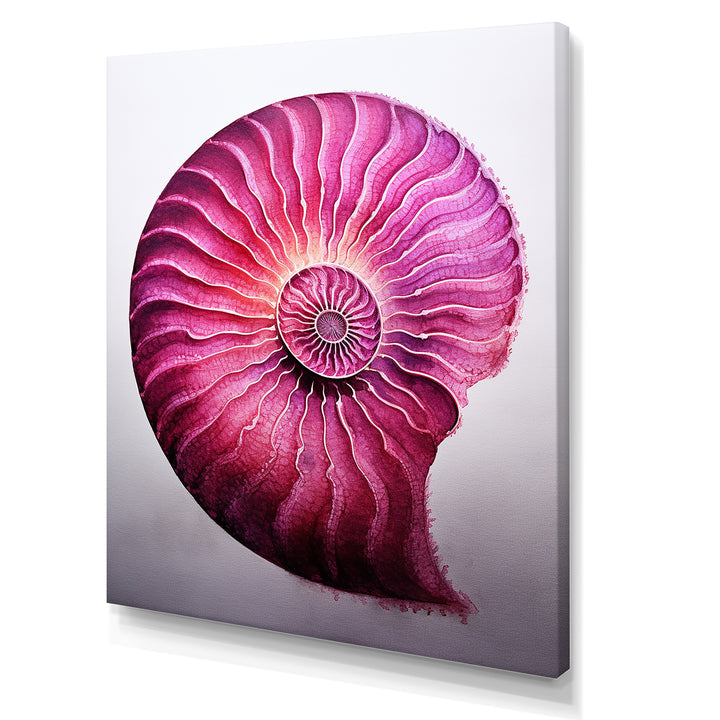 Magenta Marine Sea Sheel Spiral - Nautilus Bedroom Wall Art
