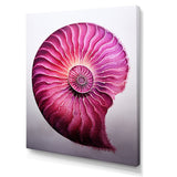 Magenta Marine Sea Sheel Spiral - Nautilus Bedroom Wall Art