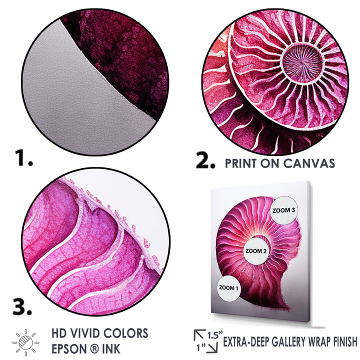 Magenta Marine Sea Sheel Spiral - Nautilus Bedroom Wall Art