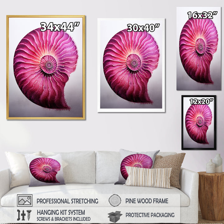 Magenta Marine Sea Sheel Spiral - Nautilus Bedroom Wall Art