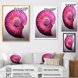 Magenta Marine Sea Sheel Spiral - Nautilus Bedroom Wall Art