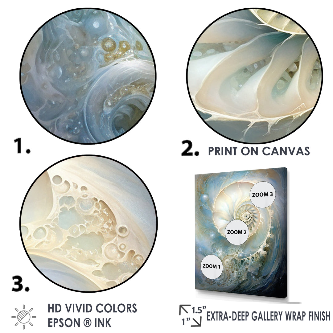 Blue And White Nautilus Pearl Passage - Nautilus Wall Art Prints