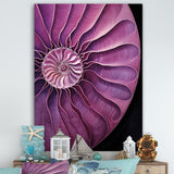 Nautilus Plum Shellfish - Purple Nautilus Wall Art