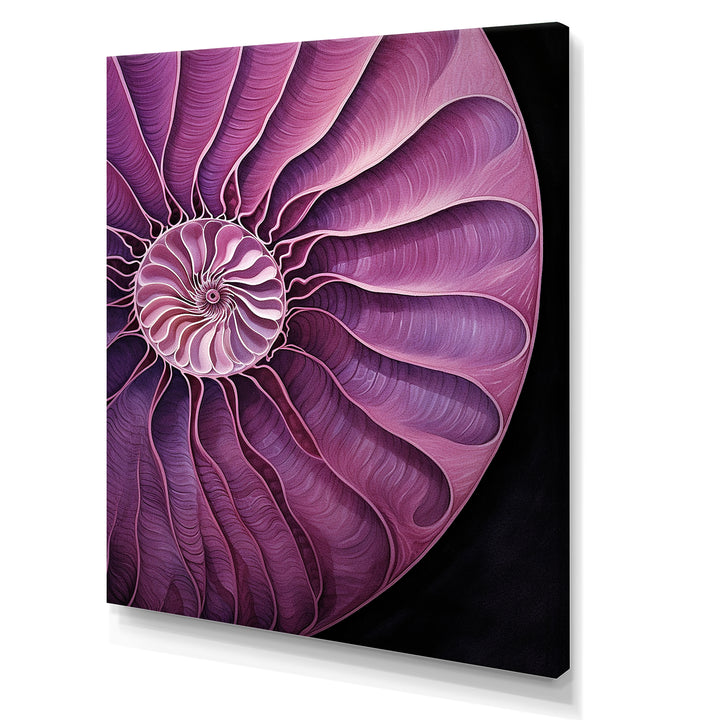 Nautilus Plum Shellfish - Purple Nautilus Wall Art