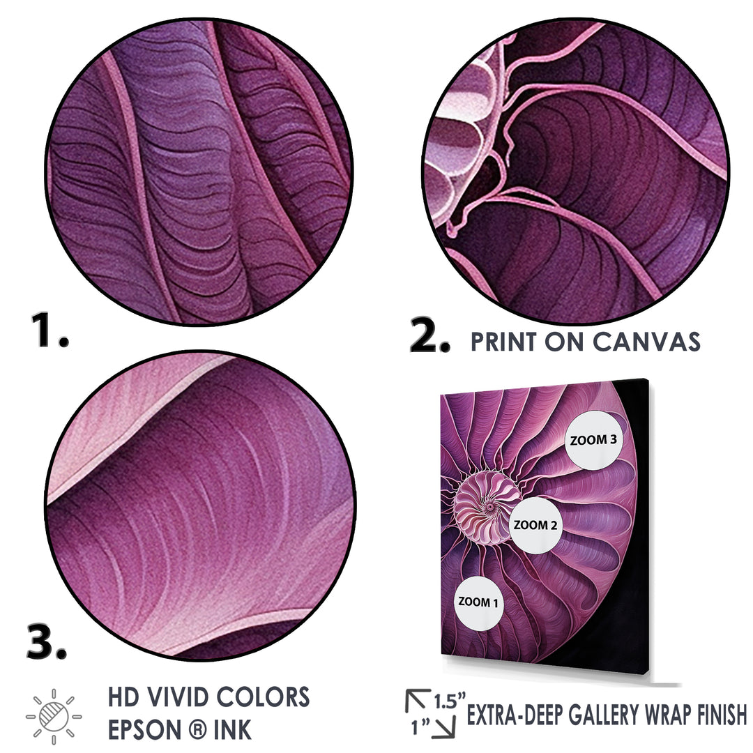 Nautilus Plum Shellfish - Purple Nautilus Wall Art