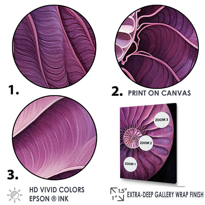 Nautilus Plum Shellfish - Purple Nautilus Wall Art