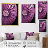 Nautilus Plum Shellfish - Purple Nautilus Wall Art