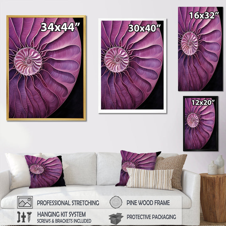 Nautilus Plum Shellfish - Purple Nautilus Wall Art