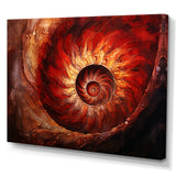 Scarlet Swirl Shellfish - Nautilus Home Decor Art