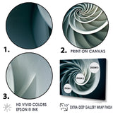Turquoise Twirl Shell Fish Spiral - Nautilus Canvas Wall Art