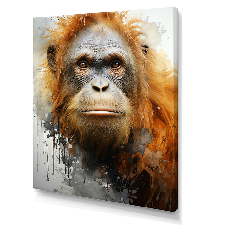 Brown Orangutan In Rainforest - Orangutan Wall Art Prints