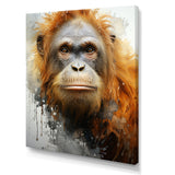 Brown Orangutan In Rainforest - Orangutan Wall Art Prints