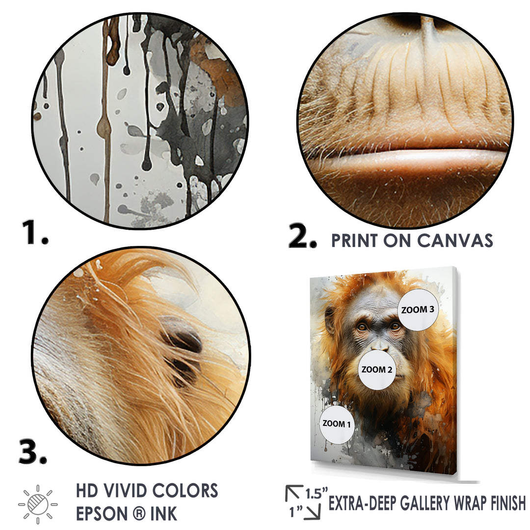 Brown Orangutan In Rainforest - Orangutan Wall Art Prints