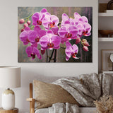 Pink Orchids Oasis I - Floral Canvas Wall Art