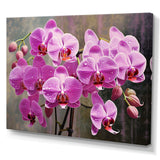 Pink Orchids Oasis I - Floral Canvas Wall Art