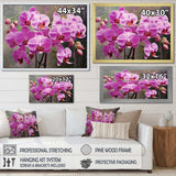 Pink Orchids Oasis I - Floral Canvas Wall Art