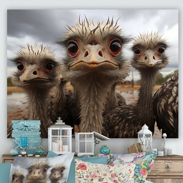 Monochrome Grey Ostriches Portrait - Beige Ostriches Wall Art