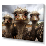 Monochrome Grey Ostriches Portrait - Beige Ostriches Wall Art