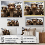 Monochrome Grey Ostriches Portrait - Beige Ostriches Wall Art