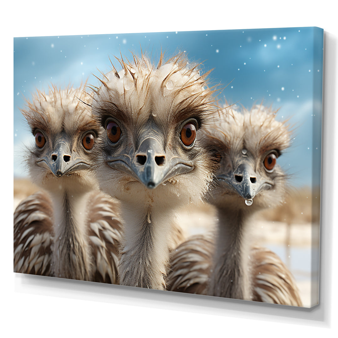 Monochrome Ostrich Mirage - Beige Ostriches Wall Art