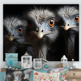 Mysterious Ostrich Chiaroscuro - Ostriches Home Decor Art