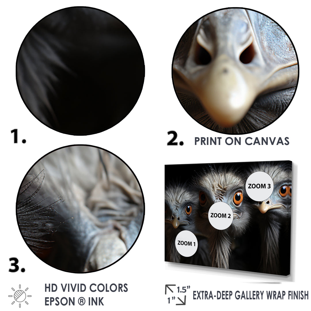 Mysterious Ostrich Chiaroscuro - Ostriches Home Decor Art