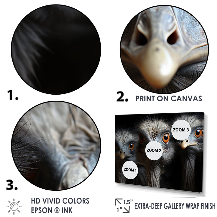 Mysterious Ostrich Chiaroscuro - Ostriches Home Decor Art