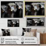 Mysterious Ostrich Chiaroscuro - Ostriches Home Decor Art