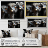 Mysterious Ostrich Chiaroscuro - Ostriches Home Decor Art