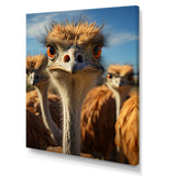 Ostrich Elysium Portrait - Ostriches Bedroom Wall Art