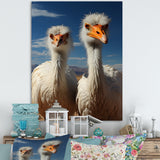 Ostrich Harmony Portrait - Ostriches Canvas Wall Art