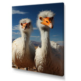 Ostrich Harmony Portrait - Ostriches Canvas Wall Art