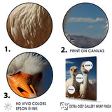 Ostrich Harmony Portrait - Ostriches Canvas Wall Art
