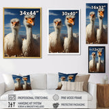 Ostrich Harmony Portrait - Ostriches Canvas Wall Art