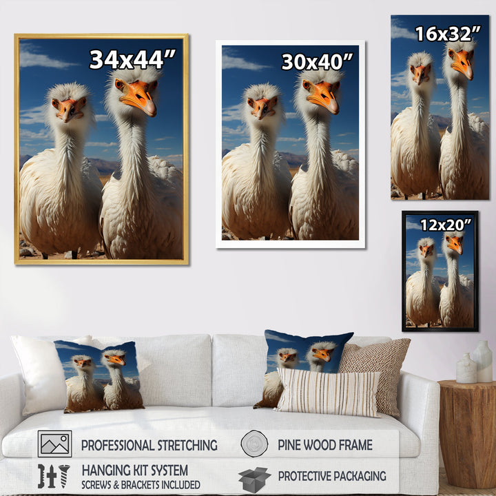 Ostrich Harmony Portrait - Ostriches Canvas Wall Art