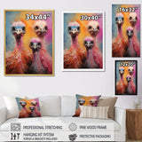 Ostrich Whimsy Portraits - Multi-Color Ostriches Wall Art