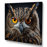 Classic Owl Eyes Of The Night - Owl Wall Art Prints