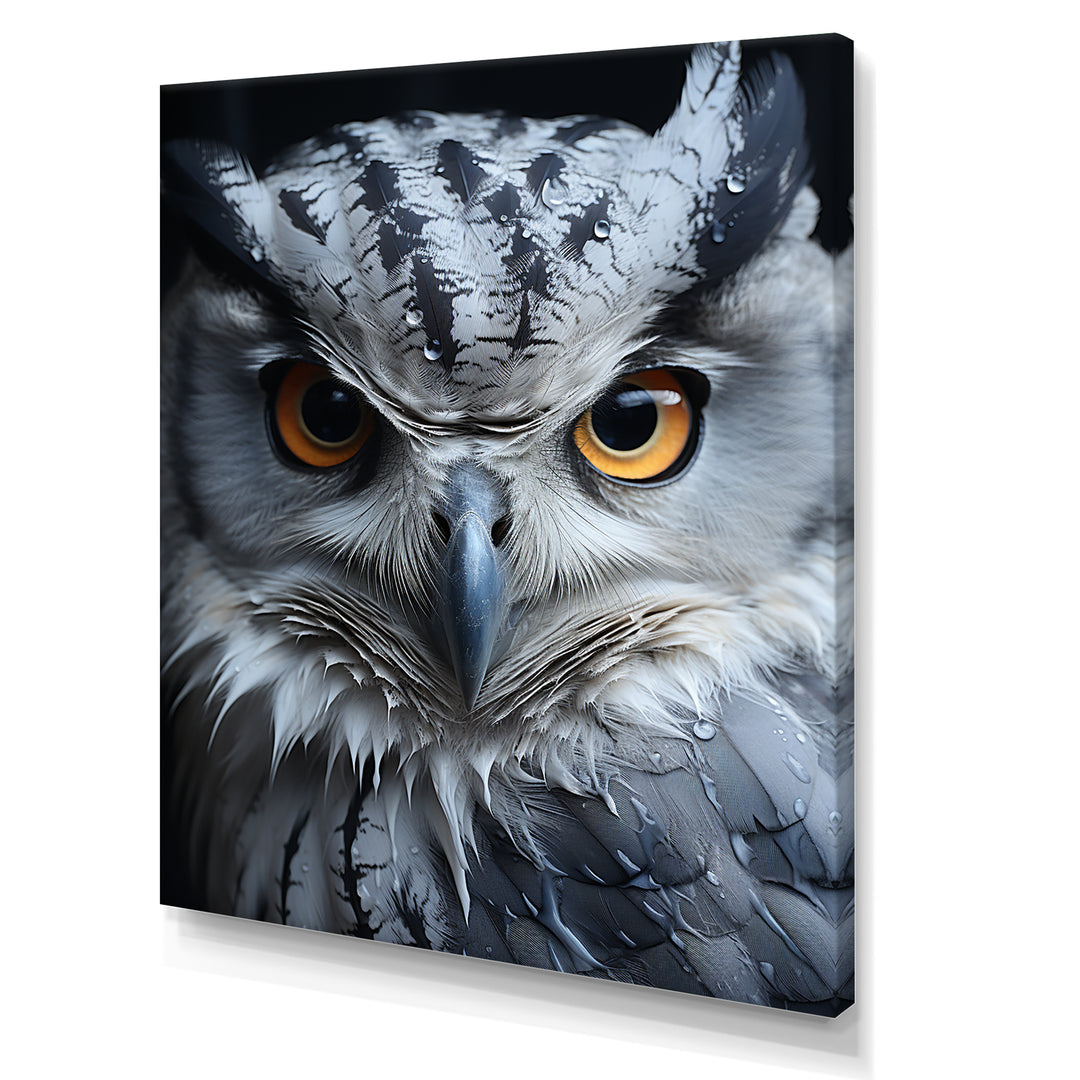 Monochrome Gaze Enlightenment - Yellow Owl Wall Art
