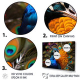Majestic Colorful Peacocks Harmony - Blue Peacock Wall Art