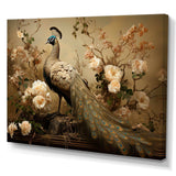 Classic Vintage Peacock Flower Adornment - Animals Canvas Wall Art