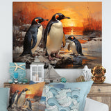 Playful Sunset Snow Wonders Penguins - Penguin Wall Art Prints