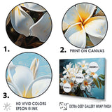 Meticulously Rendered White Plumeria Blossoms P Dba522B1 - Floral Canvas Wall Art