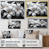 Plumeria Blooms In Stormy Grays - Floral Canvas Wall Art