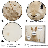 Bunny S Curious Flower Charm - Rabbit Wall Art Prints