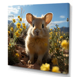 Curious Rabbit In Sunny Yellow Flower Field - Rabbit Canvas Wall Art