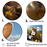 Curious Rabbit In Sunny Yellow Flower Field - Rabbit Canvas Wall Art