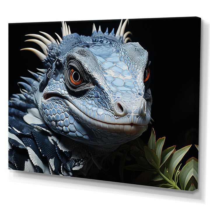 Curious Reptile Amphibian - Reptile Wall Art Prints