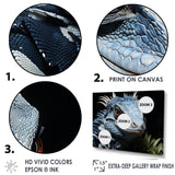 Curious Reptile Amphibian - Reptile Wall Art Prints