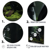 Scooter Serenity Forest Adventure - Scooter Canvas Wall Art